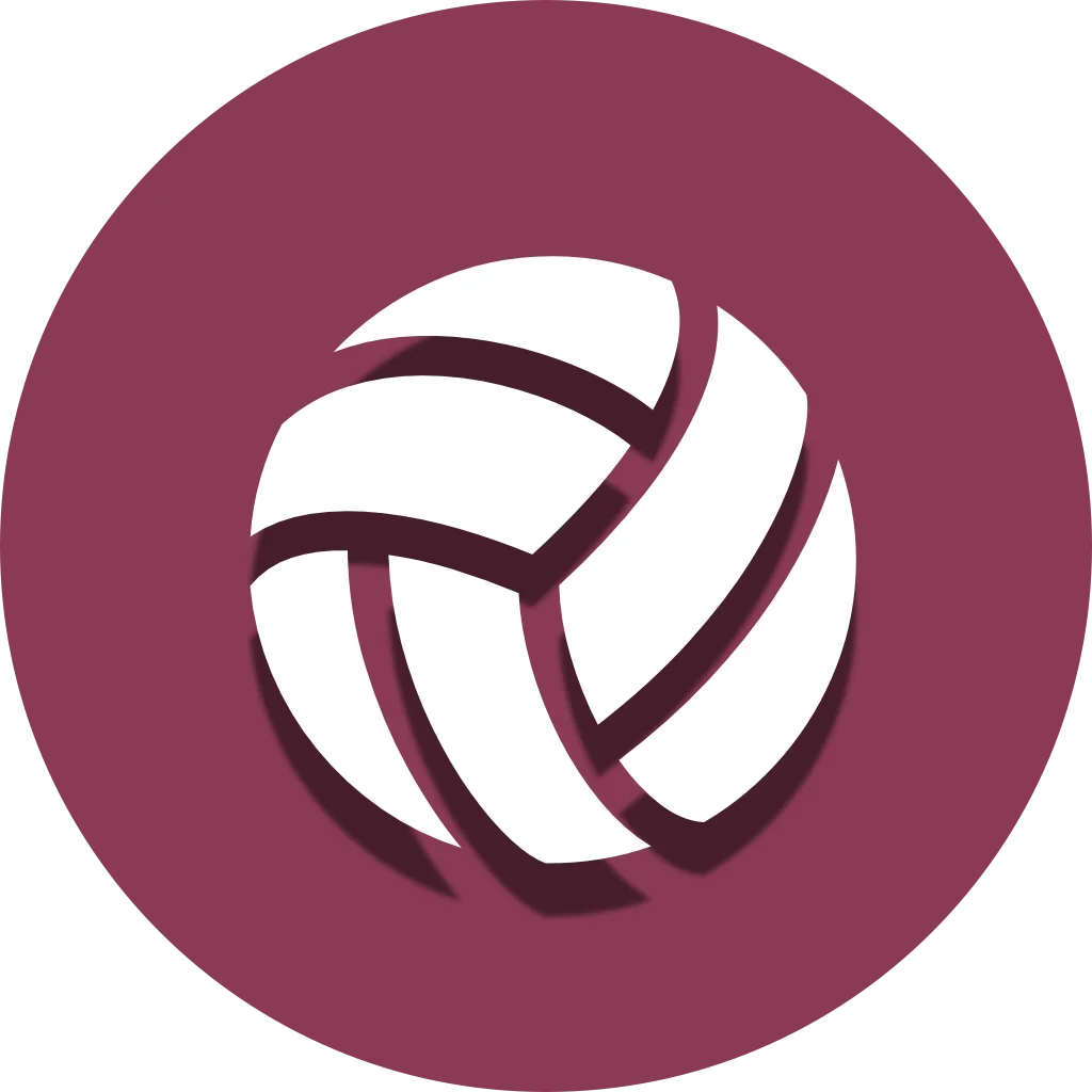 Volleyball logo